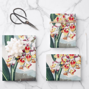 Regency Style White Yellow Exotic Floral Decor Wrapping Paper Sheet