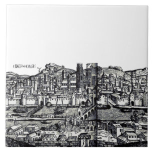 Regensburg city in eastern Bavaria Tile