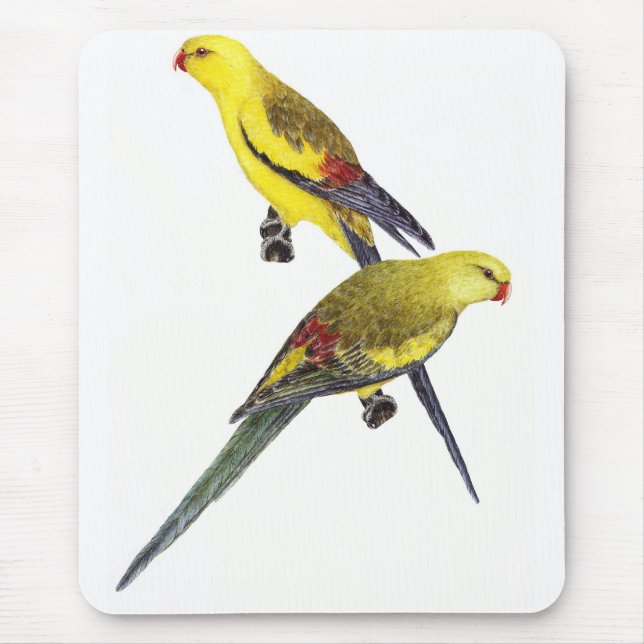 Regent Parrot Pair - Polytelis anthopeplus Mouse Mat (Front)