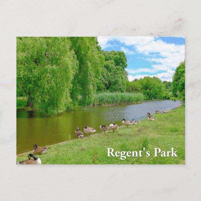 Regent's Park London Postcard (Front)