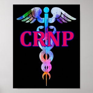 Registered Nurse Practitioner (certified) Medical  Poster
