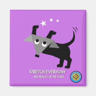 Rego Berto Stretch Everyday, Reach for the Stars Magnet