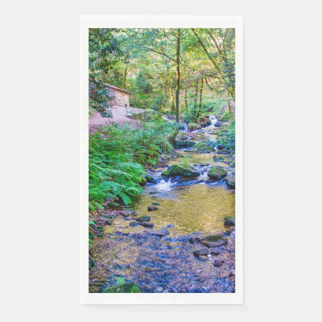 Rego da armenteira napkin (Front)