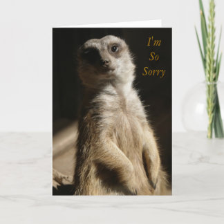 Regret - I'm SoSorry Apology or Sympathy Cute Card