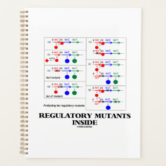 Regulatory Mutants Inside Lac Complementation Planner