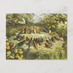 Rehearsal in Fairyland PostCard by Richard Doyle