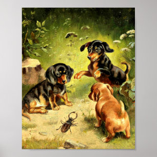 Reichert - Dachshund Puppies at Play Poster