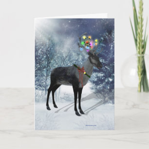 Reindeer and lights Card