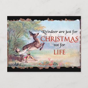 Reindeer are just for Christmas Vintage Spoof Postcard