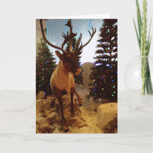 "REINDEER AT SANTA'S WORKSHOP" HOLIDAY CARD