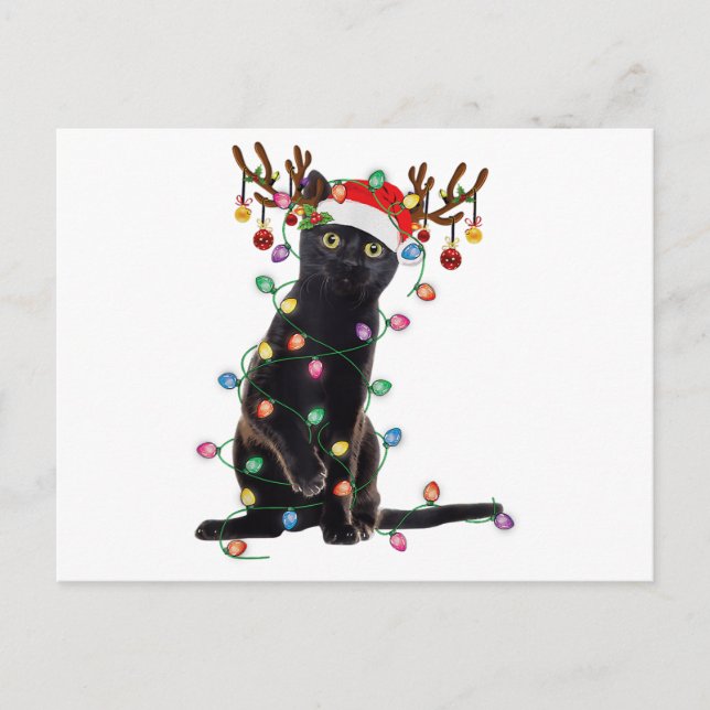 Reindeer Black Cat Christmas Lights Funny Cat Love Holiday Postcard (Front)