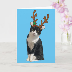 Reindeer Calliope Card
