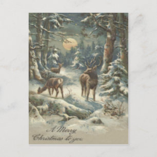 Reindeer Christmas Tree Evergreen Forest Snow Holiday Postcard