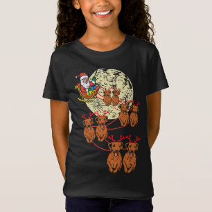 Reindeer Dachshund Santa Christmas Pet Weiner Dog T-Shirt