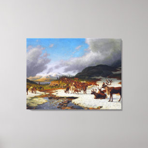 Reindeer Herd in the Mountains North of Røros Canvas Print