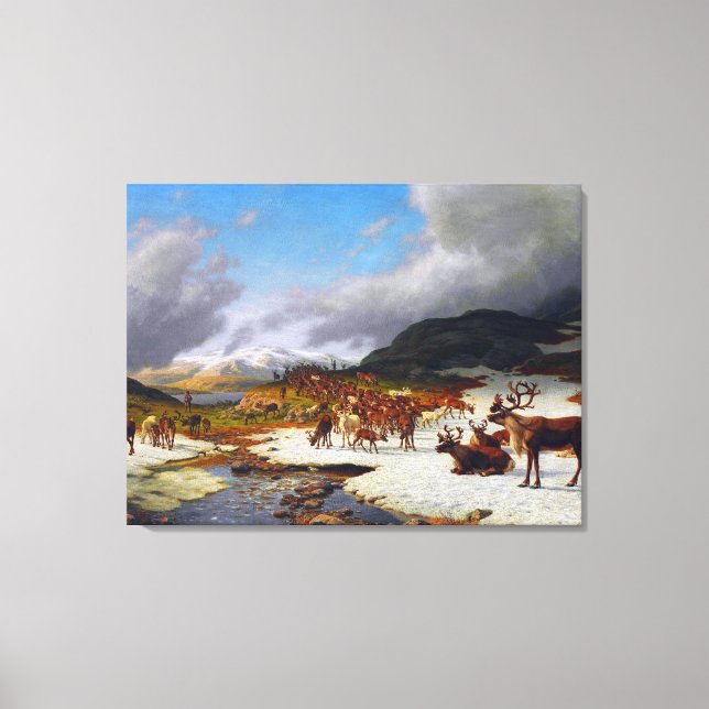 Reindeer Herd in the Mountains North of Røros  Canvas Print (Front)