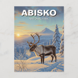 Reindeer in Abisko National Park Sweden Travel Postcard