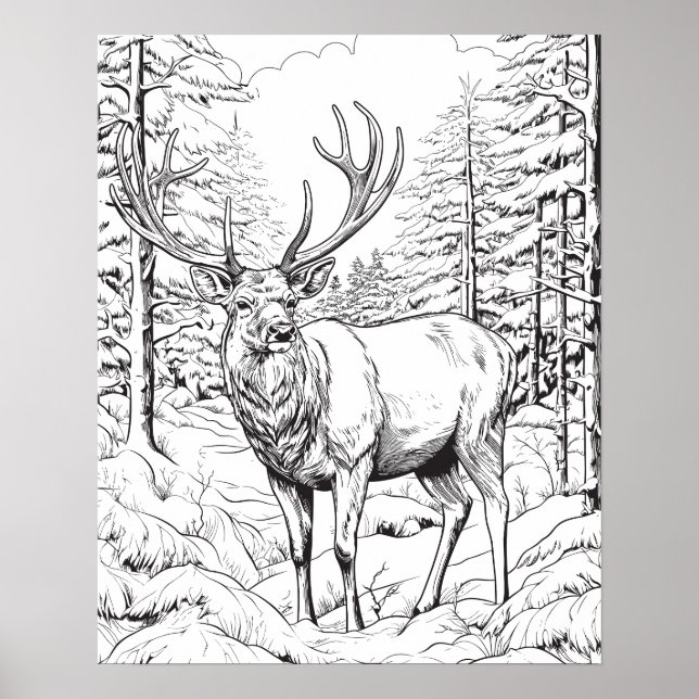 Reindeer in Snowy Woods Colouring Poster (Front)