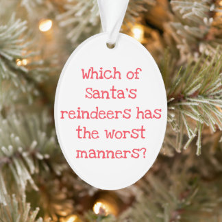 Reindeer Joke Christmas Acrylic Ornament