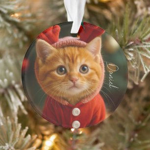 Reindeer Kitten Ornament