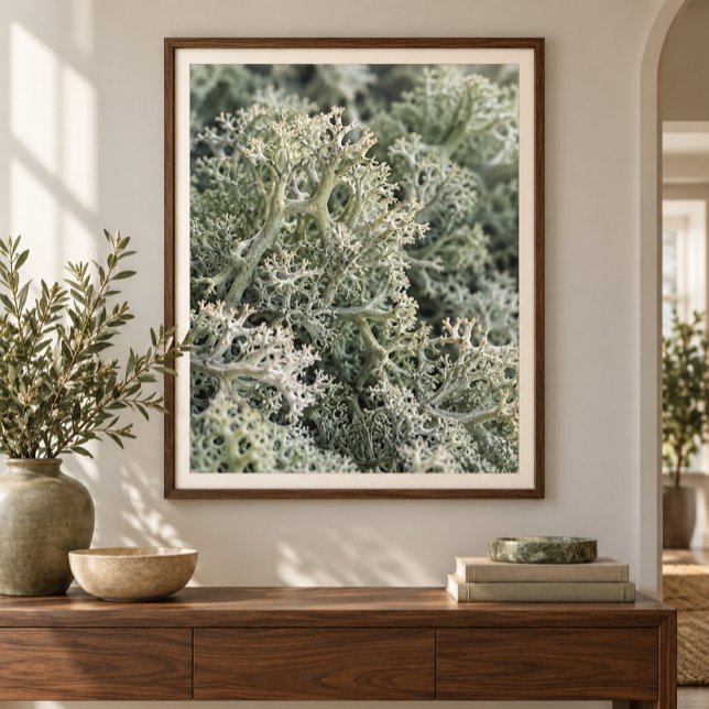 Reindeer Moss Close Study Art Print (Styled display of Reindeer Moss Close Study Art Print. Frame, mat and furnishings shown for illustration; select framing options separately.)