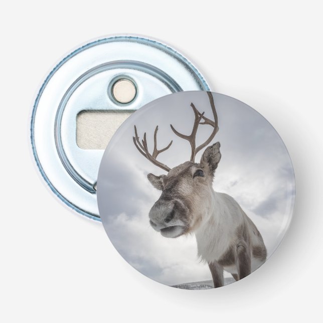 Reindeer Nature Photo Bottle Opener (Front)
