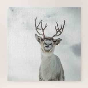 Reindeer Nature Photo Jigsaw Puzzle