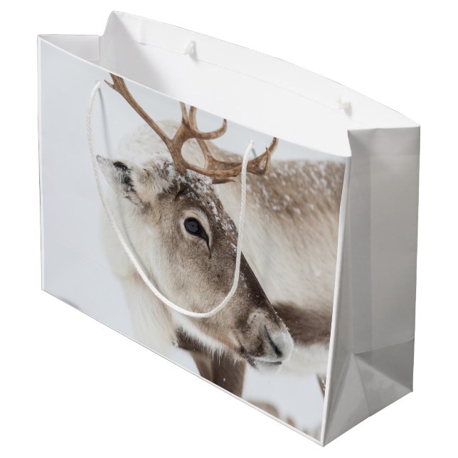 Reindeer Nature Photo Large Gift Bag (Back Angled)