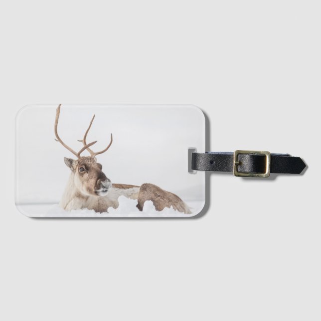 Reindeer Nature Photo Luggage Tag (Front Horizontal)