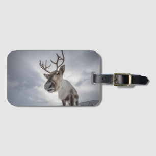 Reindeer Nature Photo Luggage Tag