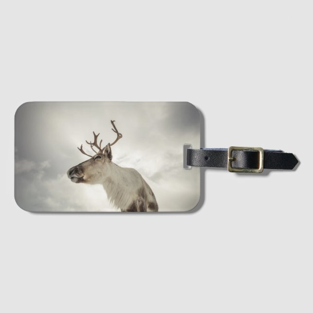 Reindeer Nature Photo Luggage Tag (Front Horizontal)