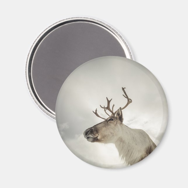 Reindeer Nature Photo Magnet (Front/Back)