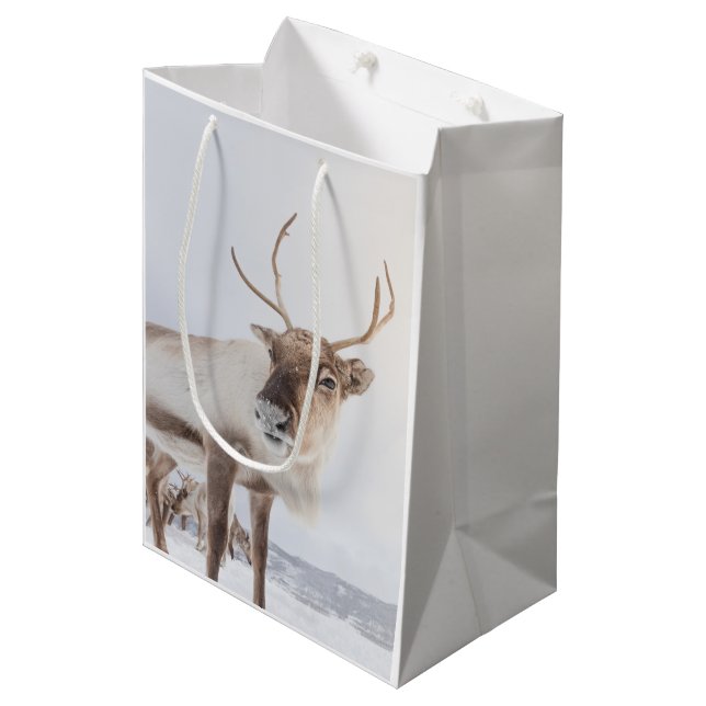 Reindeer Nature Photo Medium Gift Bag (Front Angled)