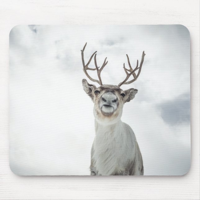 Reindeer Nature Photo Mouse Mat (Front)