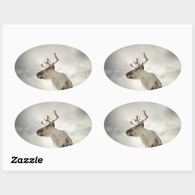 Reindeer Nature Photo Oval Sticker (Sheet)