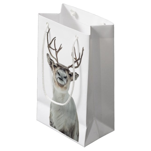 Reindeer Nature Photo Small Gift Bag (Front Angled)