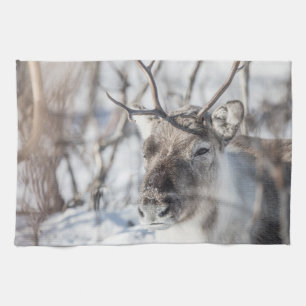 Reindeer Nature Photo Tea Towel