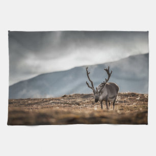 Reindeer Nature Photo Tea Towel