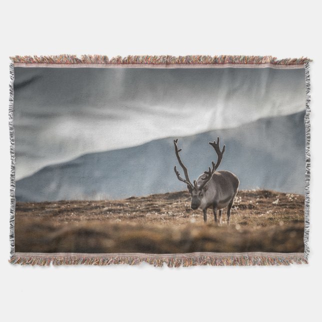 Reindeer Nature Photo Throw Blanket (Front)