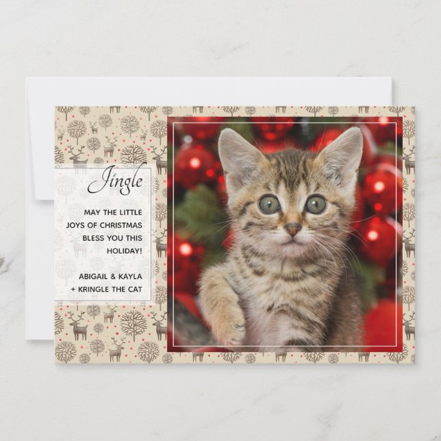 Reindeer Pattern & Script Typography Custom Colour Holiday Card (Front)