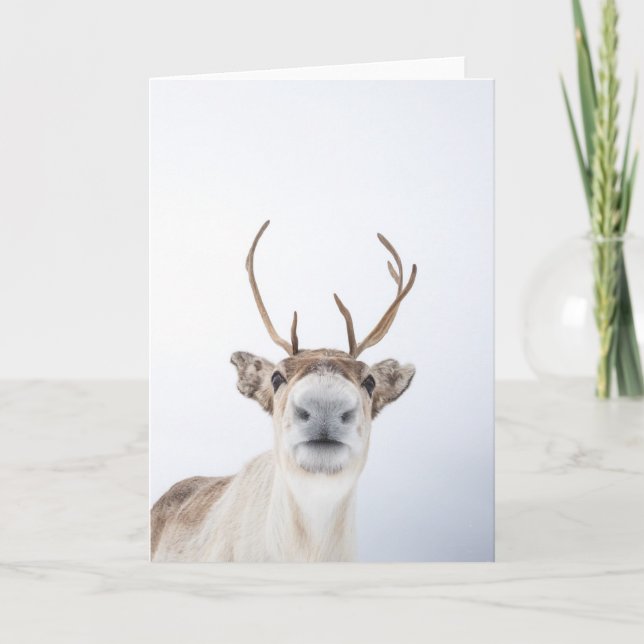 Reindeer Photo Card (Front)