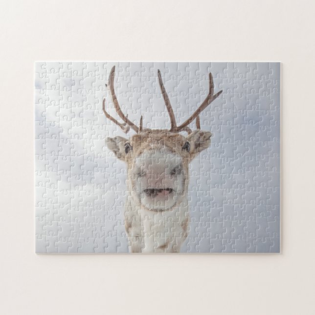 Reindeer Photo Jigsaw Puzzle (Horizontal)