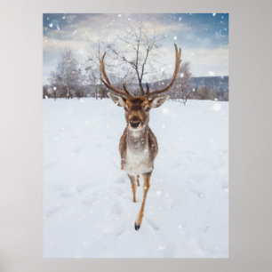 Reindeer Photo Poster