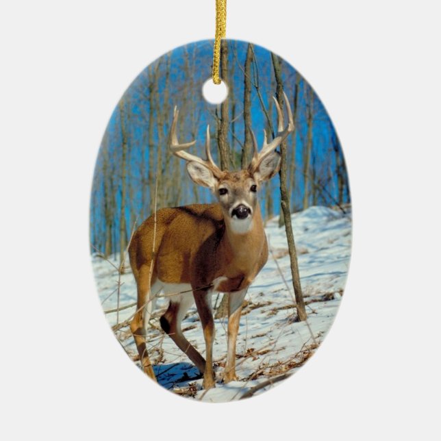 Reindeer Photo Template Xmas Keepsake Decoration (Front)