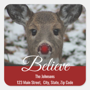 Reindeer Return Address Label   Believe