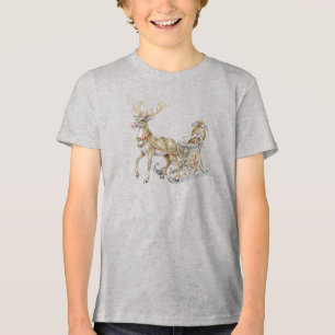 Reindeer Sleigh Boys T-Shirt Tri-Blend Shirt