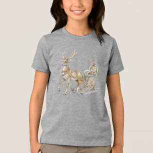 Reindeer Sleigh Holiday T-Shirt Tri-Blend Shirt