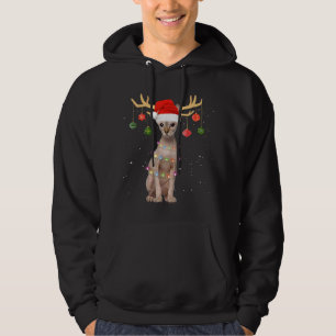 Reindeer Sphynx Cat Santa Hat Christmas Light Xmas Hoodie