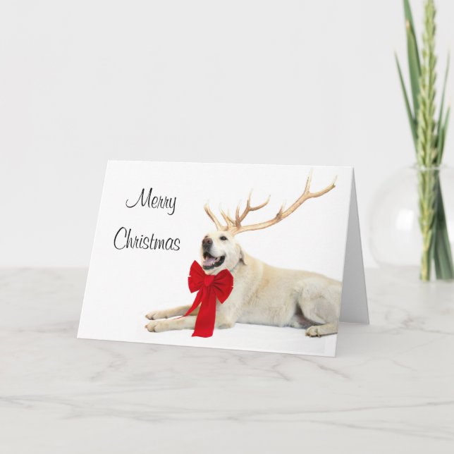Reindeer yellow lab holiday card (Front)