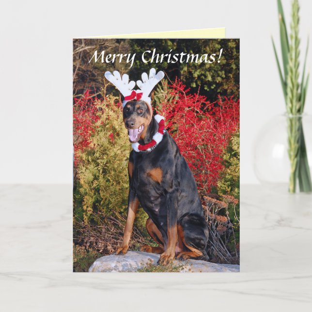 Reindobe Christmas Greeting Card (Front)